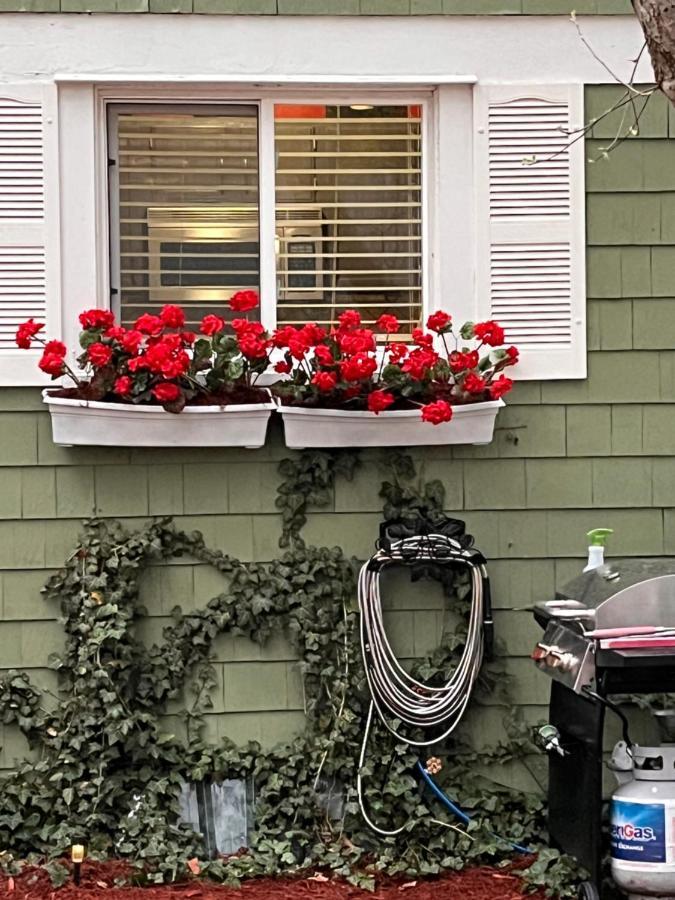 Cozy Cape Cod Vila Grand Rapids Exterior foto